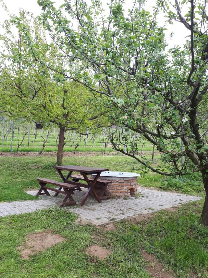 Keknefelejcs Vendeghaz Appartement Tapolca Buitenkant foto