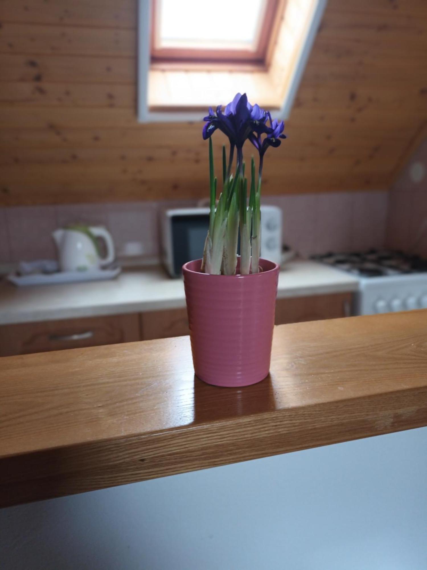 Keknefelejcs Vendeghaz Appartement Tapolca Buitenkant foto
